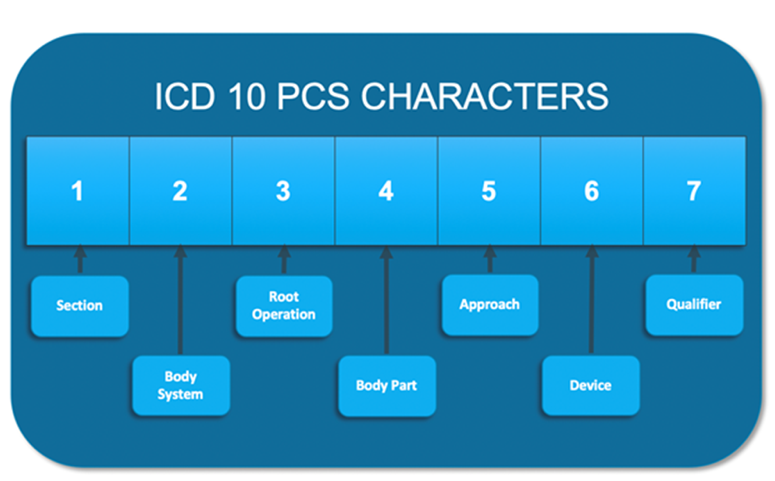 ICD-10程序代码示意图